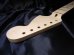 画像5: WARMOTH Maple Neck 22F / Large head STRATOCASTER® (5)