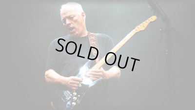 画像4: Fender Custom Shop David Gilmour "NOS"   Stratocaster 