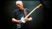 画像4: Fender Custom Shop David Gilmour "NOS"   Stratocaster  (4)