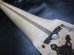 画像2: WARMOTH Radius Rosewood / Maple Neck 22F / Small head STRATOCASTER®  (2)