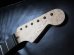 画像3: WARMOTH Radius Ebony / Birdseye Maple Neck 22F / Small head STRATOCASTER®  (3)