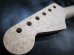 画像4: WARMOTH Radius Ebony / Birdseye Maple Neck 22F / Small head STRATOCASTER®  (4)