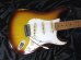 画像1: Fender Stratocaster / Jimmy Wallace (1)