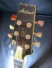 画像2: Aria Pro II  / PE-120 Limited Edition / 1982  (2)