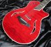 画像1: Taylor T5z Borrego Red (1)