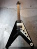 画像3: Hamer USA Custom Order / Mahogany Vector Black  (3)