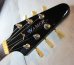 画像5: Hamer USA Custom Order / Mahogany Vector Black  (5)