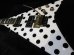 画像3: Jackson USA Custom Shop / Randy Rhoads RR 1.5 Polka Dots / Built by Mike Shannon (3)