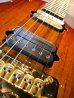 画像4: MUSIC MAN BFR JP6 John Petrucci "KOA"  (4)