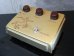 画像2: KLON CENTAUR Gold Case Long Tail  (2)