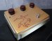 画像3: KLON CENTAUR Gold Case Long Tail  (3)