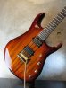 画像2: MUSIC MAN BFR JP6 John Petrucci "KOA"  (2)