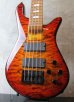 画像1: Spector USA NS-5H2 / Ultra Amber  (1)