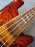 画像3: Spector USA NS-5H2 / Ultra Amber  (3)