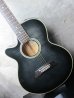 画像2: Takamine NPT-110 LEFTY 90's  See Through Dark Sunburst  (2)