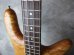 画像3: Spector USA NS-2O 1989 / Oil Finish (3)