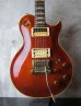 画像1: Aria Pro II / PE-R80KV 1983  (1)
