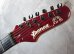 画像3: Ibanez AH-10 1985 Allan Holdsworth Model / Burgundy 