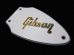 画像1: Gibson USA Flying V / Rod cover (1)