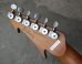 画像5: ESP Custom Shop George Lynch Super V / Matt Black  (5)