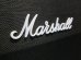 画像2: Marshall 1960AV Cabinet　 (2)