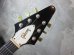 画像4: Gibson USA Flying V / Black