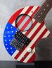 画像2: Fernandes ZO-3 American National Flag