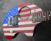 画像1: Fernandes ZO-3 American National Flag (1)