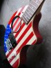 画像3: Fernandes ZO-3 American National Flag