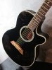 画像6: Takamine PT-106 GBB