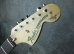 画像2: Fender USA Yngwie Malmsteen Signature Stratocaster / Rosewood / Update