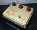 画像2: KLON CENTAUR Gold Case Long Tail  (2)