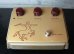 画像1: KLON CENTAUR Gold Case Long Tail  (1)