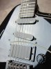 画像5: Steinberger GK-4T Klein '94