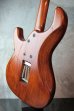 画像7: Killer KG-VIOLATOR Sitar (7)