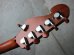 画像5: Killer KG-VIOLATOR Sitar (5)
