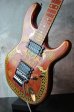 画像2: Killer KG-VIOLATOR Sitar (2)
