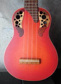 Applause by Ovation UA20 CCB