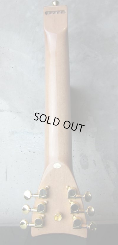 画像3: SHRED NECK DREADNECK - Acoustic DN6 Model - 6 Fret 