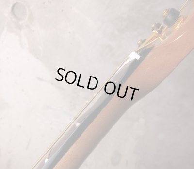 画像5: SHRED NECK DREADNECK - Acoustic DN6 Model - 6 Fret 