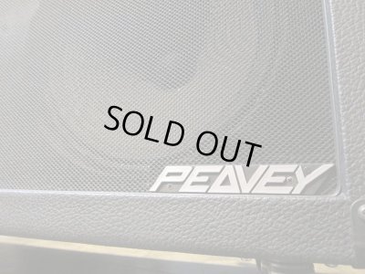 画像6: PEAVEY EVH 5150 212 COMBO "Vintage"