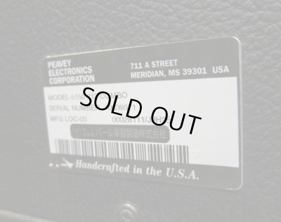 画像9: PEAVEY EVH 5150 212 COMBO "Vintage"