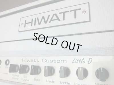 画像2: HIWATT Little D Rig "David Gilmour" Sig./ WEM Cabinet Set /  DRESS WHITE 