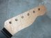 画像2: Warmoth Modern / Ebony / Birdseye Maple Neck 22F /  Telecaster®