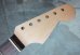 画像2: Warmoth Modern / Indian Rosewood / Maple Neck 22F /  STRATOCASTER® 