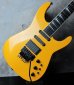 画像8: Jackson USA  / SL-1 30th Anniversary Yellow