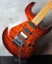 画像10: Michael Tuttle Dinky 54  / Bengal Burst 