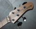 画像2: Lakland SL55-94 Deluxe Natural Translucent 