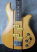 画像1: B.C. Rich Eagle Bass '79 Brazilian Rosewood (1)