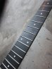 画像1: Steinberger Carbon Graphite Neck for GM Series (1)